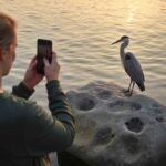 AI Identifies Dinosaur Footprints, Revealing Unexpected Similarities With Birds (N/A)