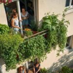 The Plant That Perfumes Homes and Repels Mosquitoes Is Spreading to Balconies, Sparking Concern Among Gardeners (N/A)