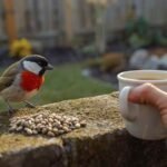 The RSPCA Urges Anyone with Robins in Their Garden to Put Out This Simple Kitchen Staple Today (N/A)